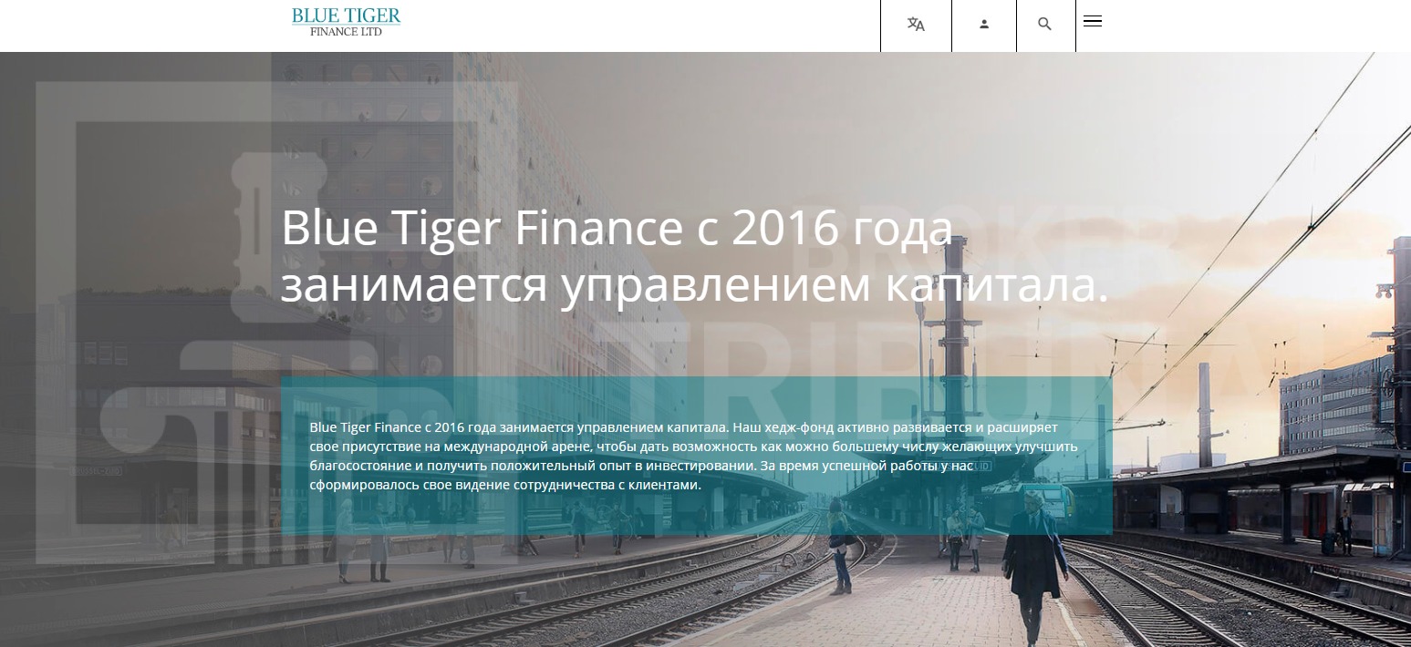 Blue Tiger Finance