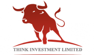 Брокер Think Investments Limited