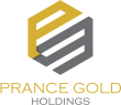 Инвестиционный проект Prance Gold