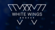 Брокерская компания White Wings Broker
