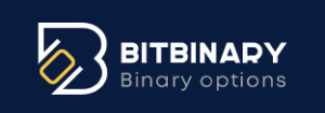 Bitbinary