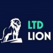 Инвестиционный проект LTDLlion