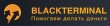 Инвестиционный проект BlackTerminal