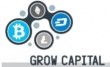 Инвестиционный проект Grow Capital