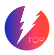 Инвестиционный проект Tor Corporation