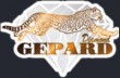 Инвестиционный проект Diamond Gepard