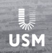 Инвестиционный проект USM