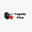 Инвестиционный проект YagodyPlus Live